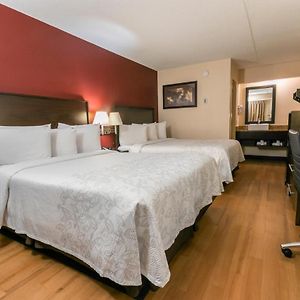 Deluxe Room Two Double Beds Smoke